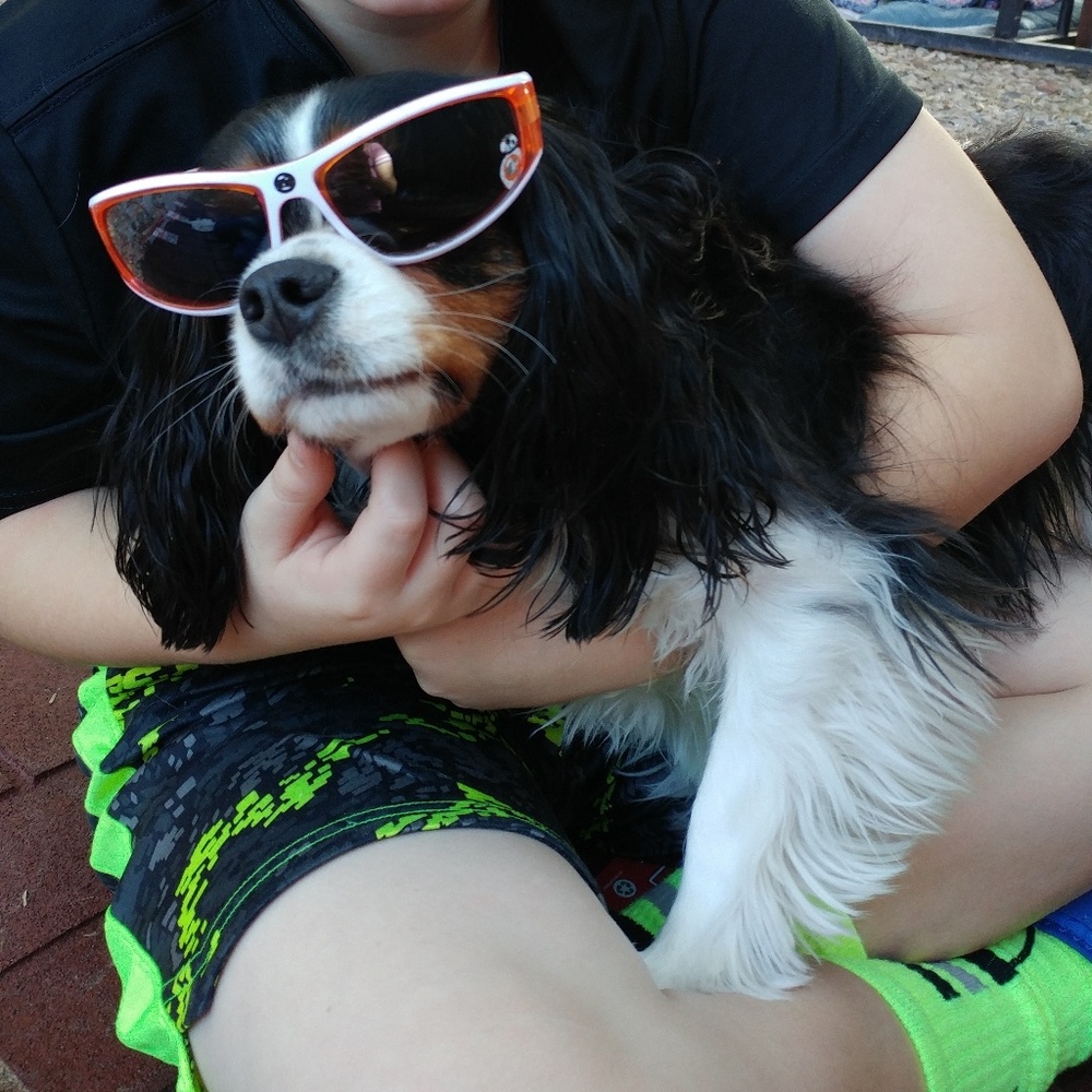 Meet your Posher, Charlie